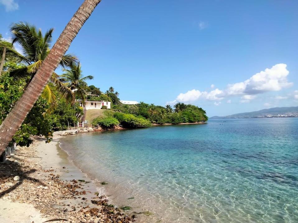 Villa Nautilia, Vue Mer, Proche Plage Les Trois-Ilets Exterior foto